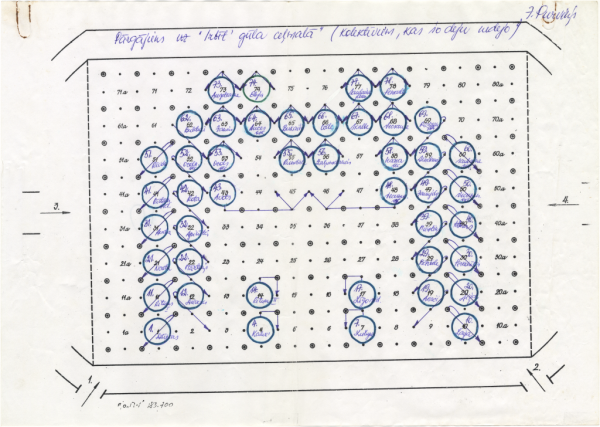 Irbīt' gūla ceļmalā : dejas laukuma zīmējums