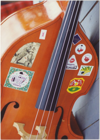 XX Vispārējie latviešu dziesmu un X deju svētki. Mūzikas instruments
