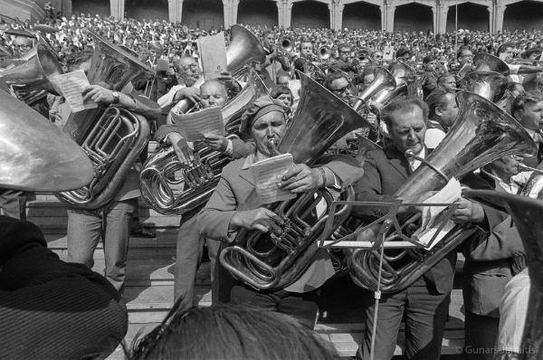 Dziesmu svētku simtgade : XVI Dziesmu svētki. Dalībnieki Mežaparka estrādē