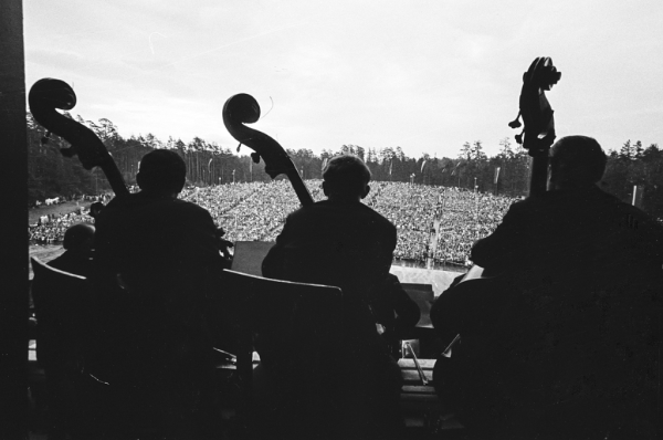 XV Vispārējie latviešu dziesmu un deju svētki. Mežaparks