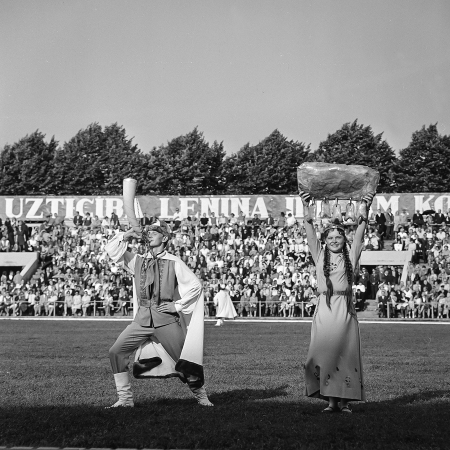 XV Vispārējie latviešu dziesmu un deju svētki. Dalībnieki