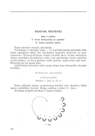 Dejosim, meitenes : dejas apraksts